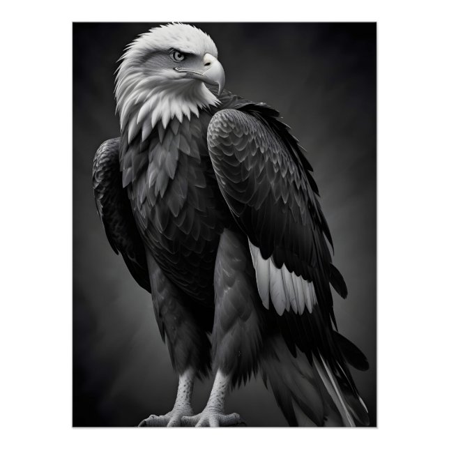 Póster Eagle Wildlife Maiúscula Wallpaper da Nature (Frente)