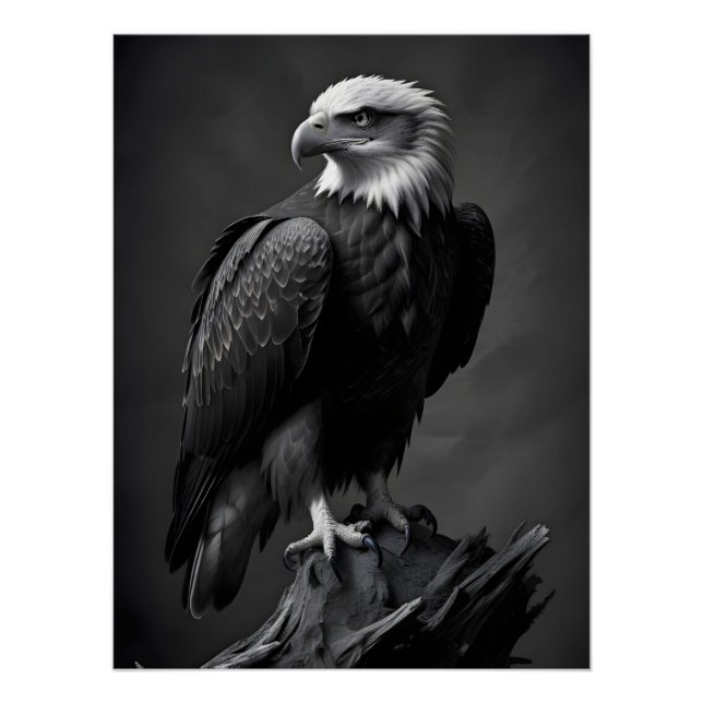 Póster Eagle Wildlife Maiúscula Wallpaper da Nature (Frente)