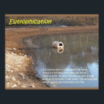 Póster Earth science, Environment, Eutrophication<br><div class="desc">Intended for use in schools,  youth clubs,  etc and for personal research into particular topics. They were designed as lesson starters to provide points of discussion. Ideal for classroom displays as well as walls at home. Great aid for home schooling. Earth science,  Environment,  Eutrophication</div>