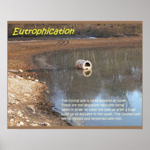 Póster Earth science, Environment, Eutrophication