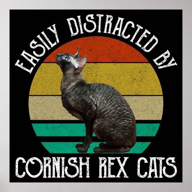 Poster Easily Distracted By Cornish Rex Cats (Frente)