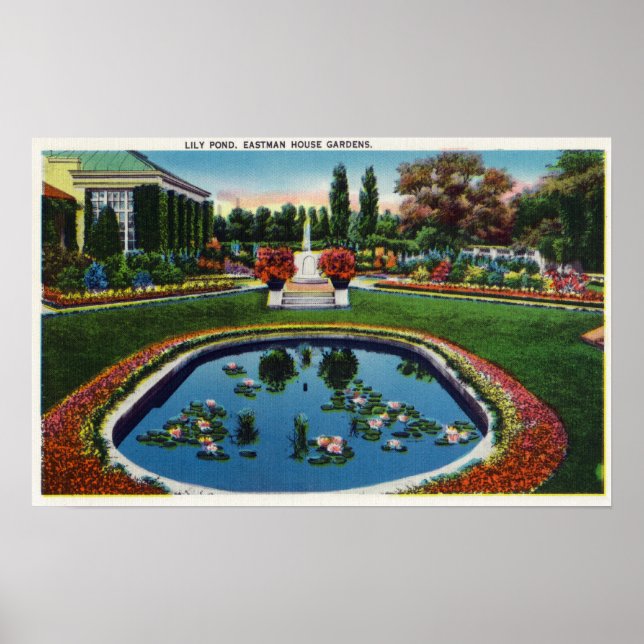Póster Eastman House Gardens Lily Pond (Frente)