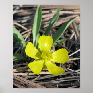 Póster eb914d3d831da7681f0eff33fe3afaf5_200