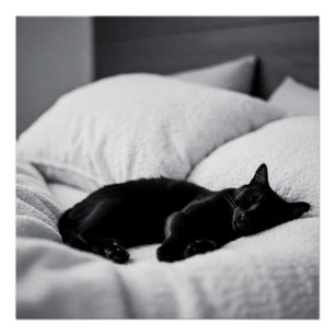 Póster Ebony Dreams: Conforto e Charme Felino