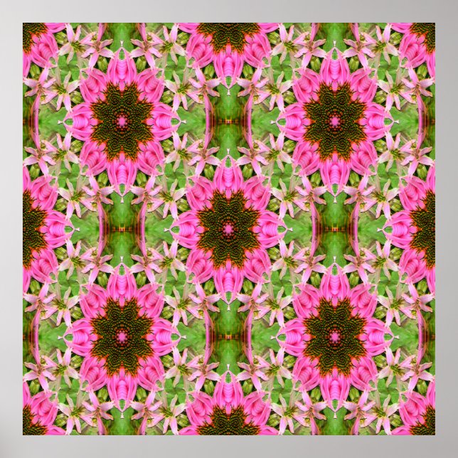 Poster Echanicea bonito...... (Frente)