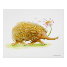 Echidna watercolor poster