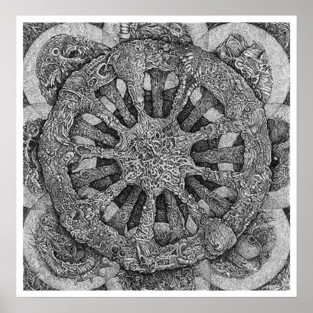 Poster Echinidermatéria (Frente)