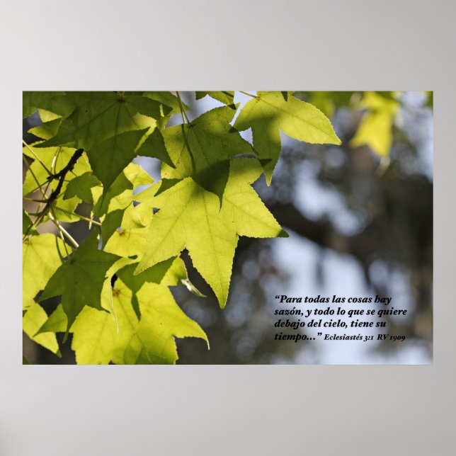 Poster Eclesiastes 3:1 con Hojas (Frente)