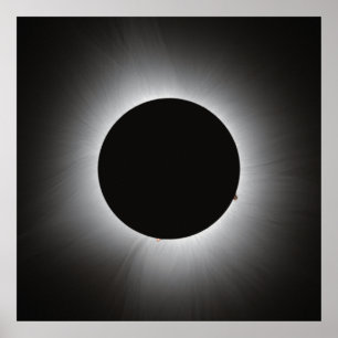 Poster Eclipse Solar 2024 - Corona