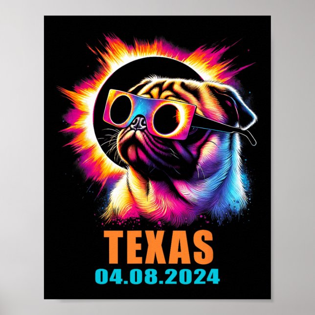 Poster Eclipse Solar Total 2024 Cachorro Com Gles (Frente)