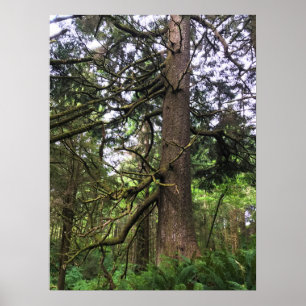 Poster Eco-a State Park, Cannon Beach, Oregon