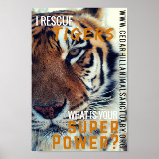 Póster Economizei Super Energia para os Tigres