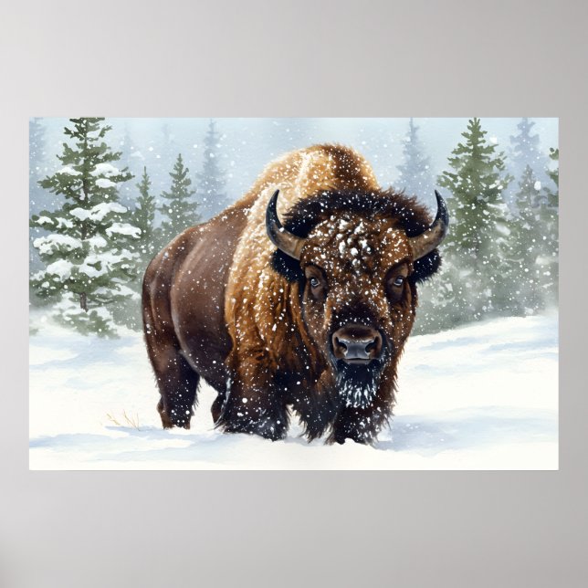Poster Ecos do inverno: O Reino de Bison (Frente)