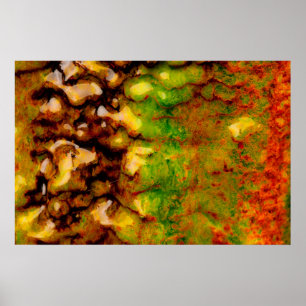 Póster ecossistema térmico