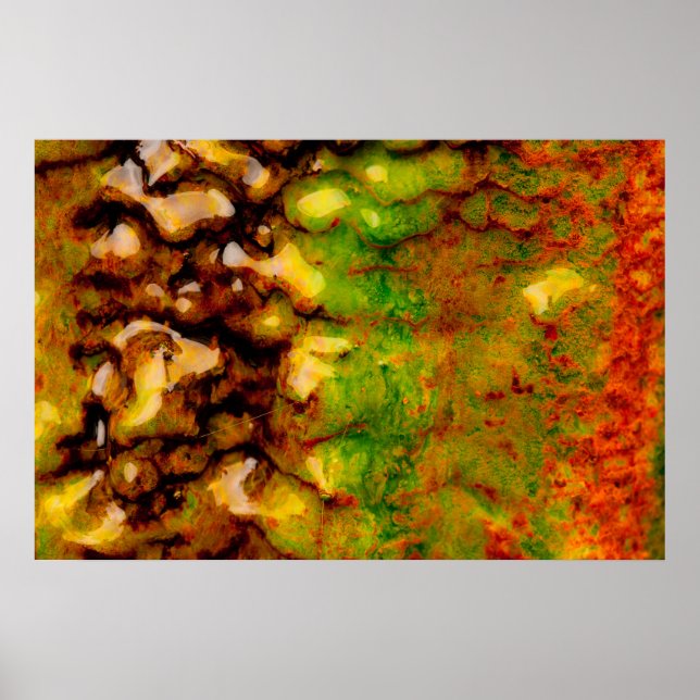 Póster ecossistema térmico (Frente)