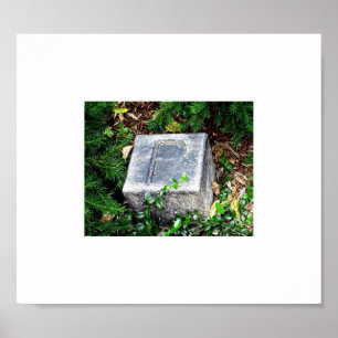 POSTER EDGAR ALLAN POE FOOT MARKER BALTIMORE MD 021911