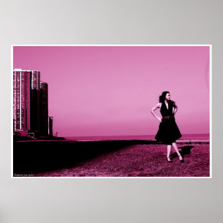 Poster Edgewater Beach, 2006