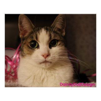 Póster Edição Fita Rosa: Dainty Doll em Retrato Suave