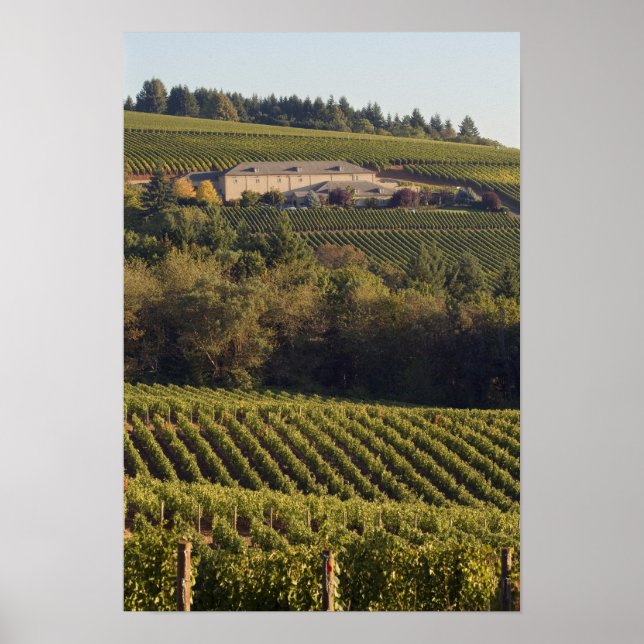 Póster Edifício de bronzeamento da Archery Summit em cima (Frente)