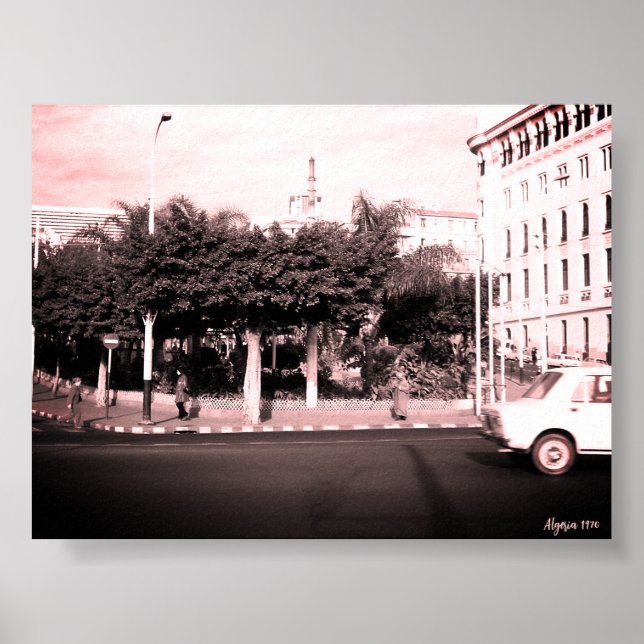Poster Edifício de carros vintage Argélia Argel (Frente)
