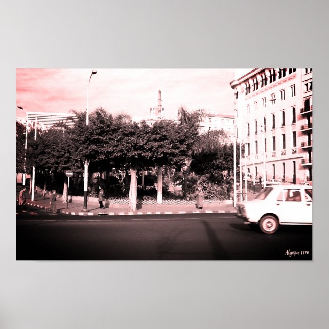 Poster Edifício de carros vintage Argélia Argel (Frente)