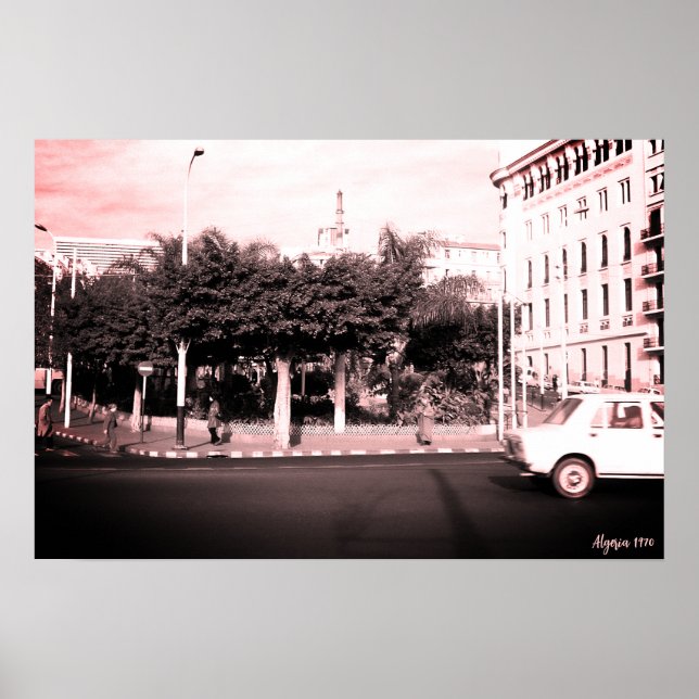Poster Edifício de carros vintage Argélia Argel (Frente)