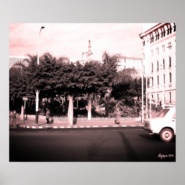 Poster Edifício de carros vintage Argélia Argel (Frente)