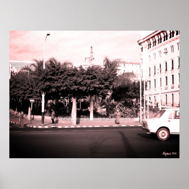 Poster Edifício de carros vintage Argélia Argel (Frente)