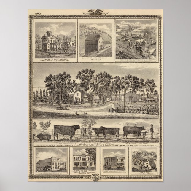 Póster Edifícios da Clenona Stock Farm em Davenport (Frente)