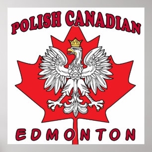 Póster Edmonton Polonês Folha