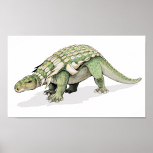 Póster Edmontonia - carteira do dinossauro blindado