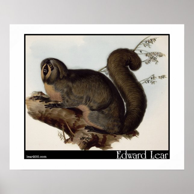 Poster Edward Lear's Whiskered Yarke (Frente)