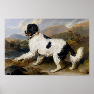 Poster Edwin Henry Landseer   Leão — Um Cachorro Da Te