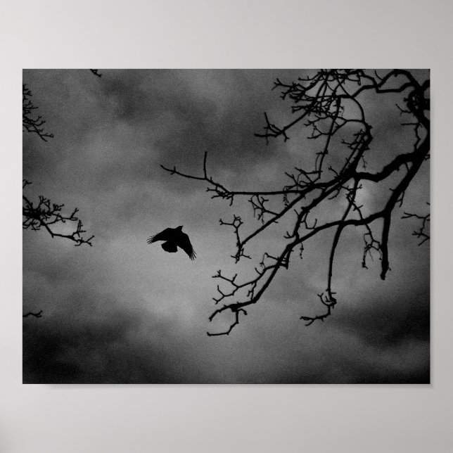 Póster Eerie Bird em Voo (Frente)