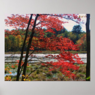 Póster Efeito de Orton Marsh Foliage no outono vermelho