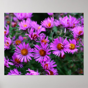 Póster Efeito Orton das Flores de Outono Rosa