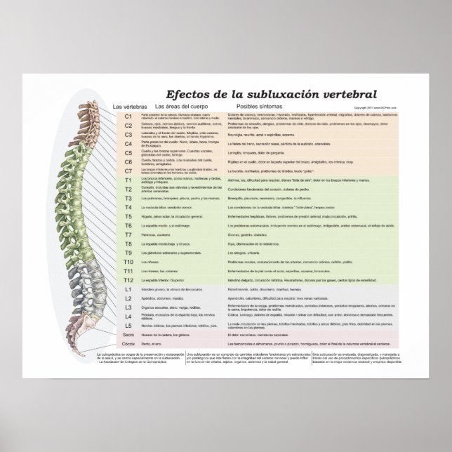 Poster Efeitos Espanhóis da Subluxação Spinal Chiropracti (Frente)