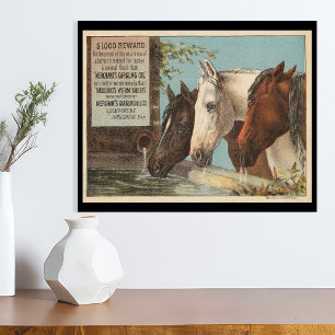 Póster Efêmero de Anúncio de Cavalos de Fazenda Bebendo Á