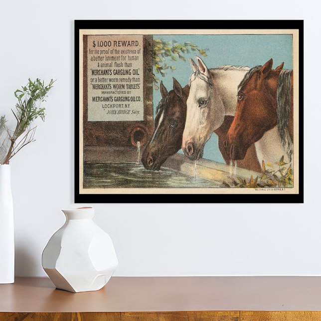 Póster Efêmero de Anúncio de Cavalos de Fazenda Bebendo Á (Criador carregado)