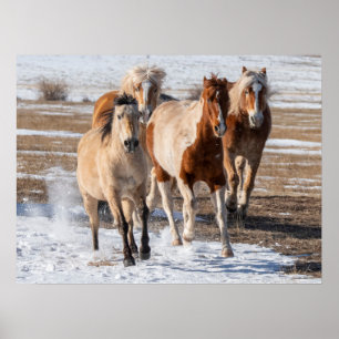 Poster Efetivo de Cavalos de Raça Mistos Correndo na Neve
