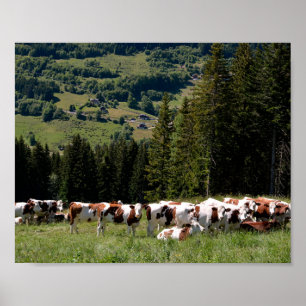 Poster Efetivos de vacas a pastar na praça postal dos Alp