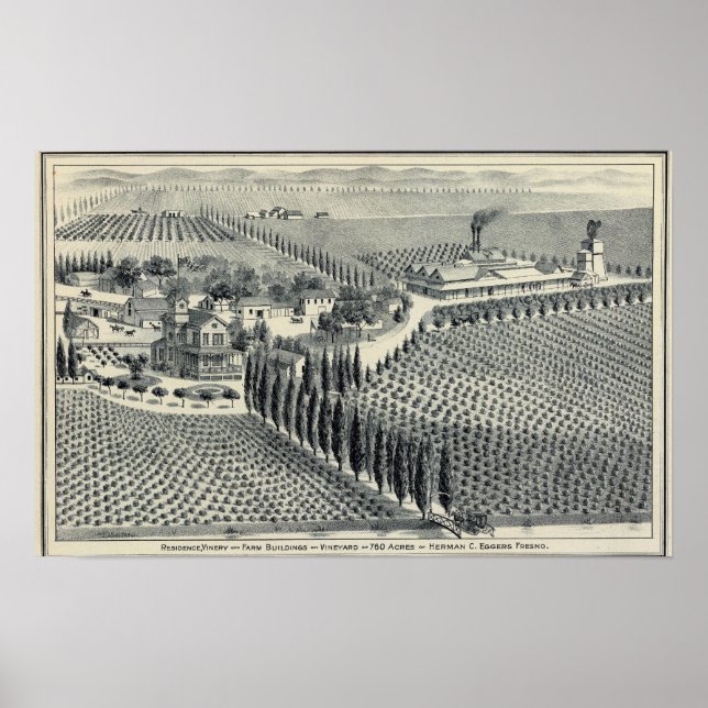 Póster Eggers Vineyard, Fresno (Frente)