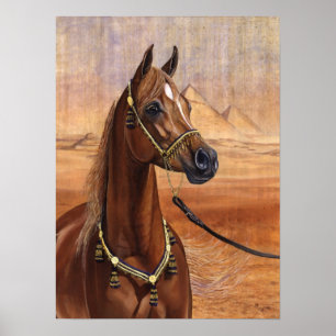 Poster egípcio do cavalo da princesa Árabe TODOS