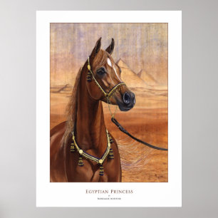Poster egípcio do cavalo da princesa Árabe TODOS