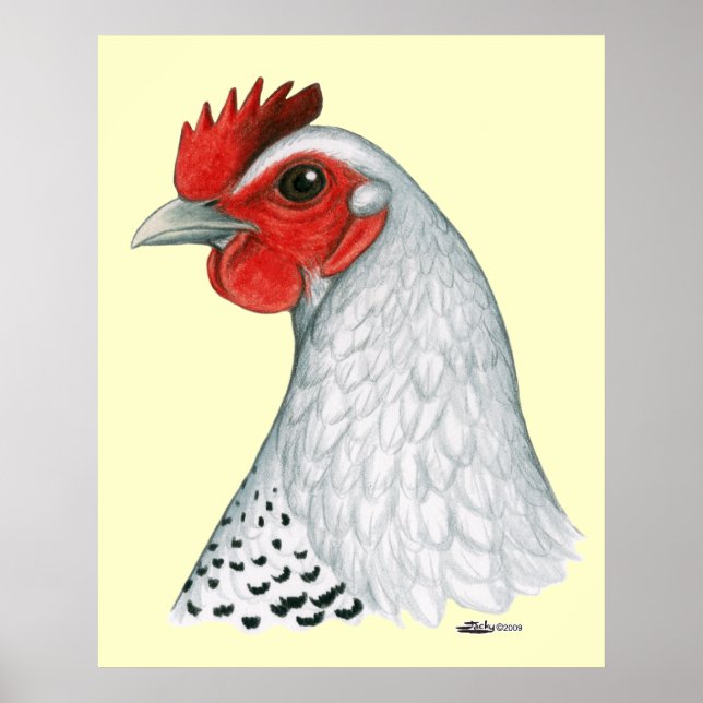 Poster Egípcio Fayoumi: Silver Hen (Frente)