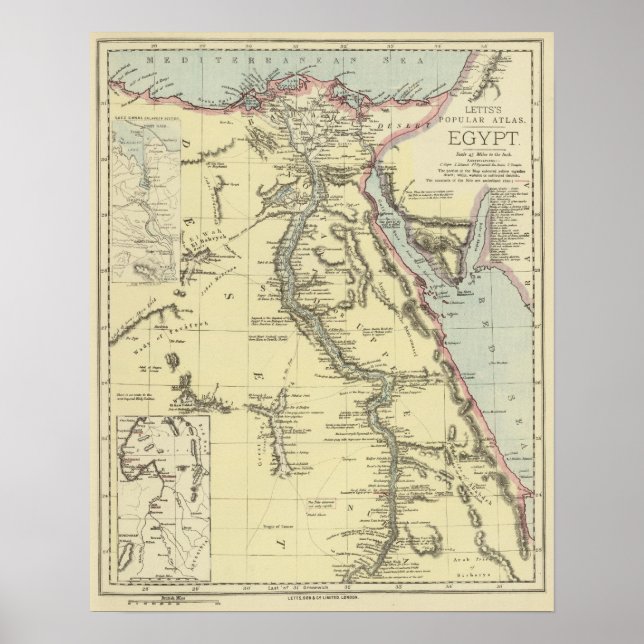 Póster Egito 13 (Frente)