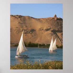 Poster Egito, Aswan, rio Nilo, embarcações de navegaç