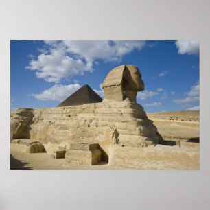 Póster Egito, Giza. O Sphynx do excelente sobe acima de 2
