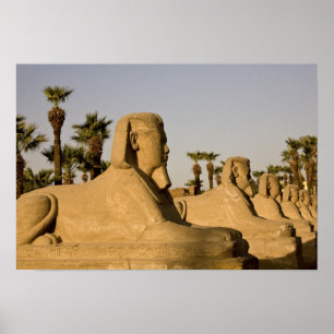 Póster Egito, Luxor. A Avenida de Esfinges leva a