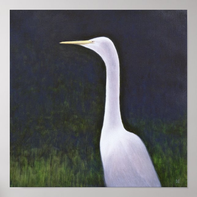 Póster Egret Branco (Frente)